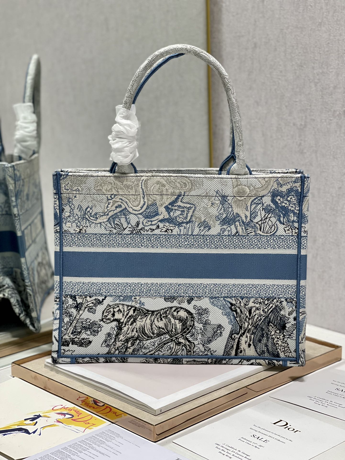 Medium CD Book Tote 36cm Gradient Blue Tiger