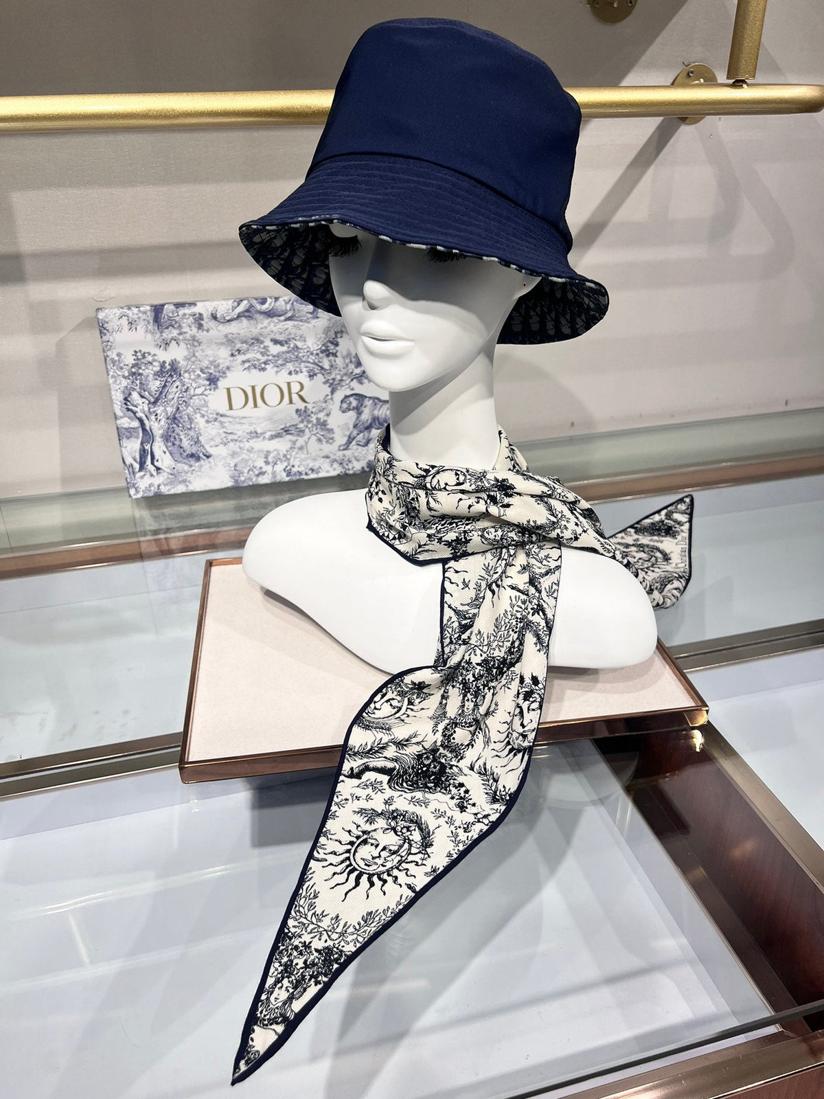 Dior 2026 Toile De Jouy Scarf 140cm Velvet 188566