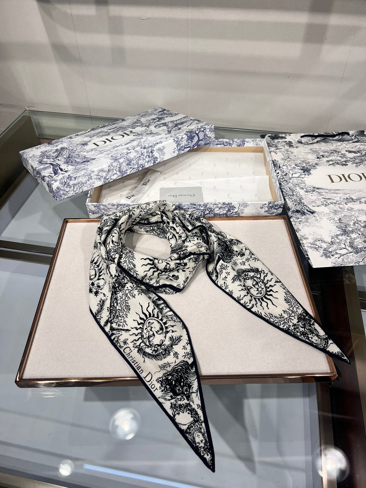 Dior 2026 Toile De Jouy Scarf 140cm Velvet 188566