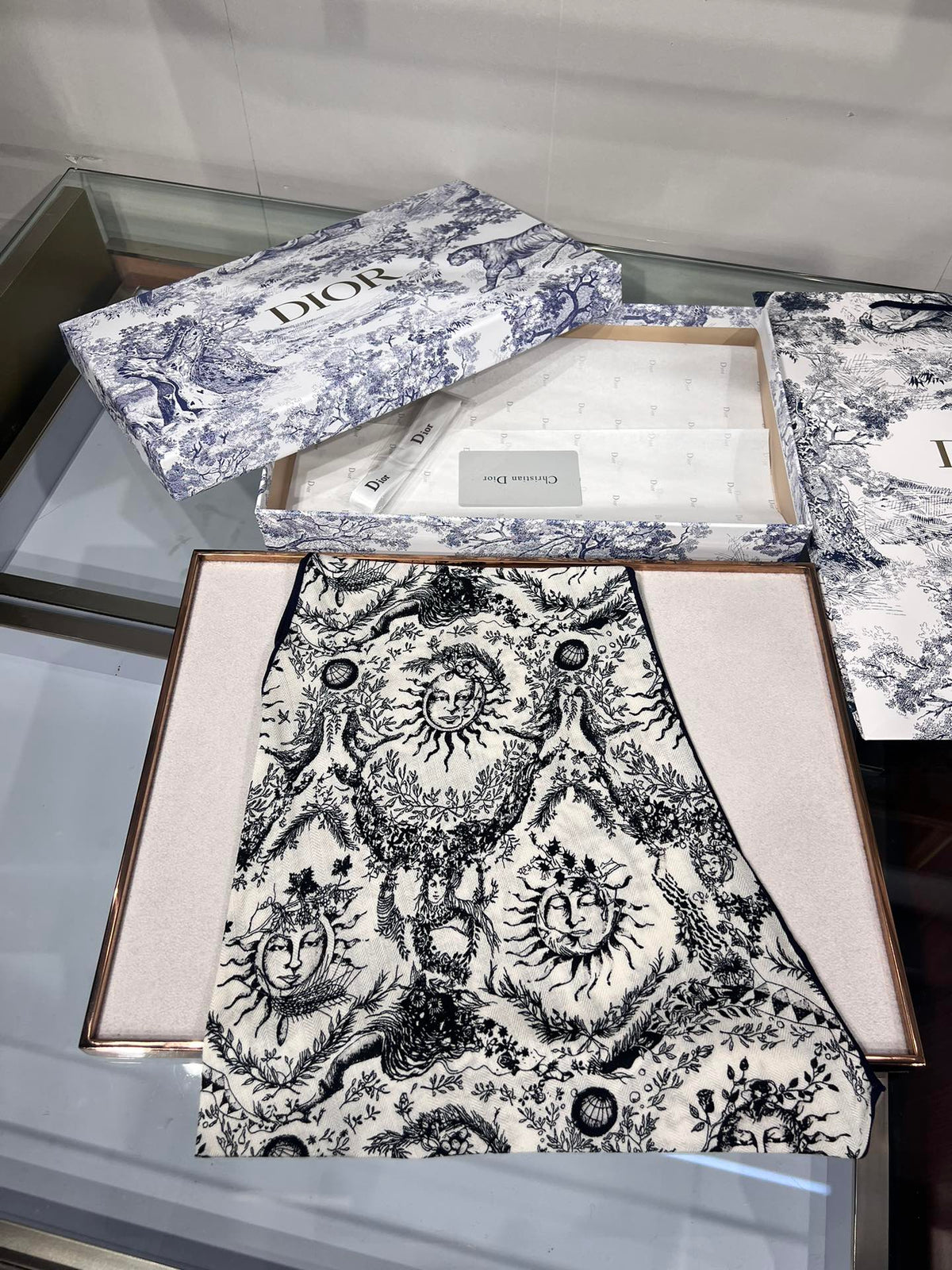Dior 2026 Toile De Jouy Scarf 140cm Velvet 188566