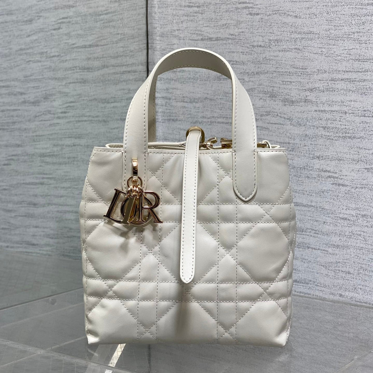 Dior 2026 Toujours Vertical Tote Bag 16cm Leather 406609