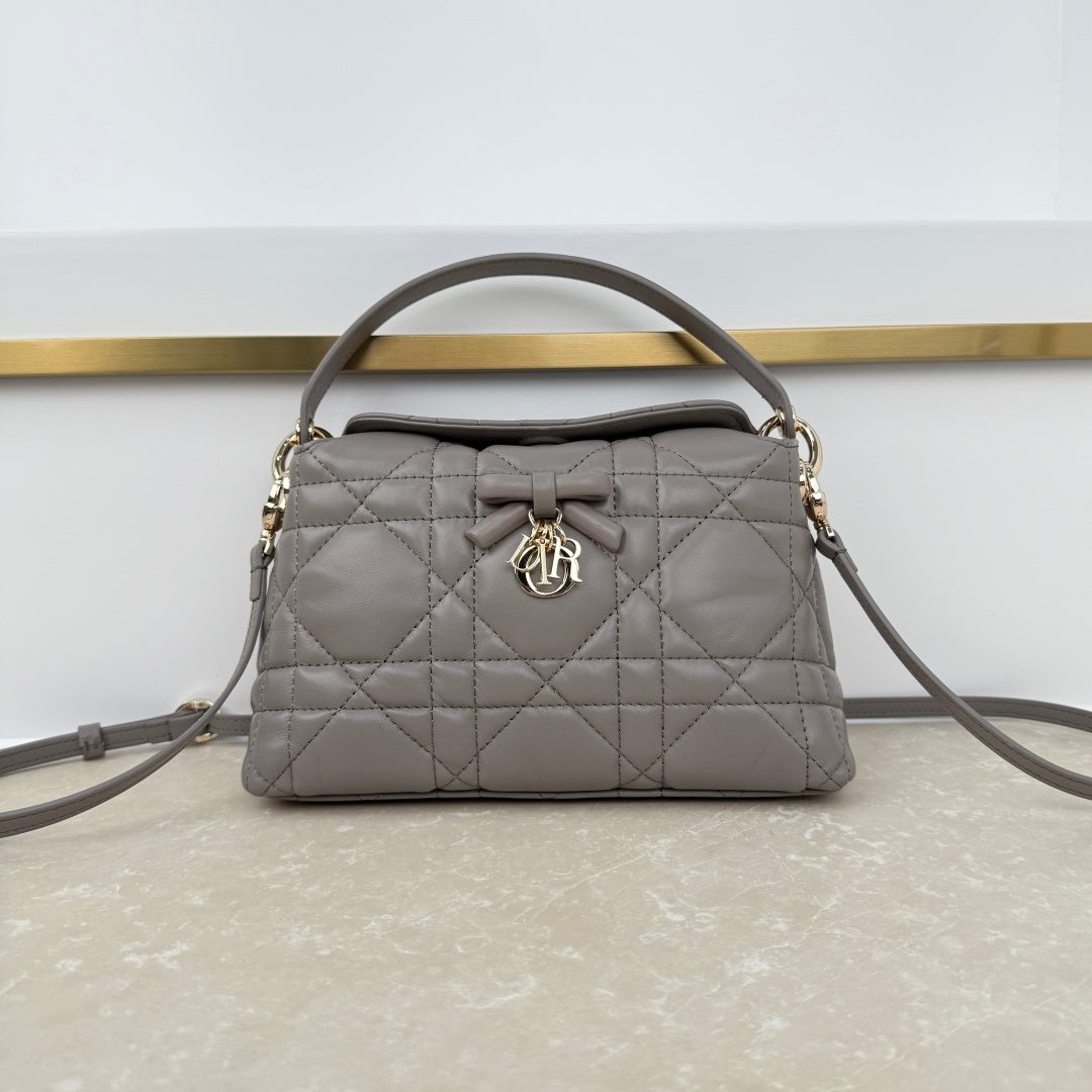 Dior 2026 Adiorable Top Handle Bag 22.5cm Suede Lambskin 166137