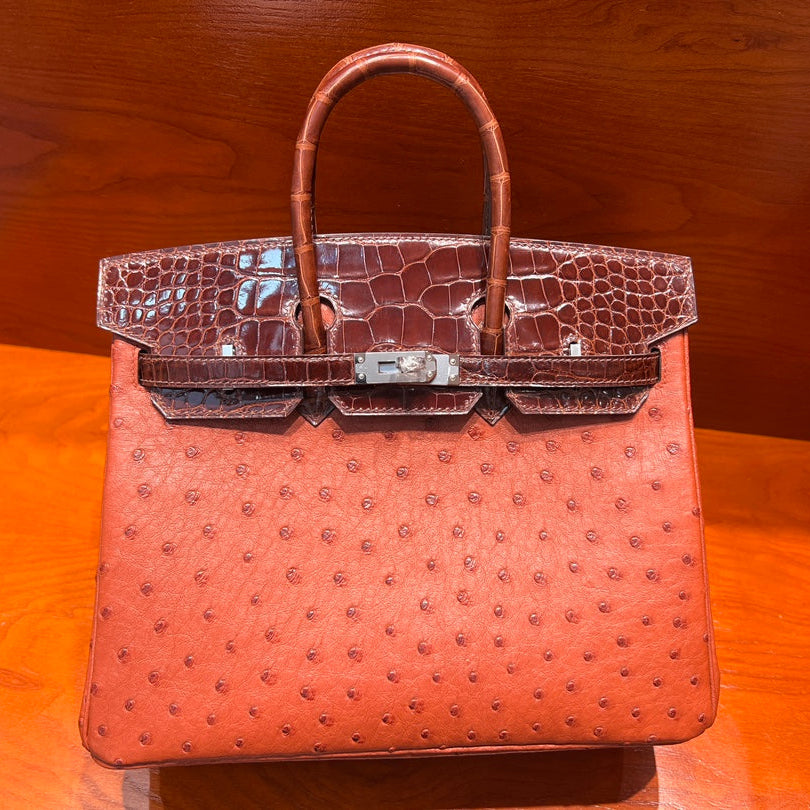 High-end Hermes 2026 Birkin 25cm Brick Red Crocodile/Ostrich Leather